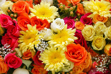 colorful flowers