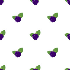 Blackberry. Colored Vector Patterns 
