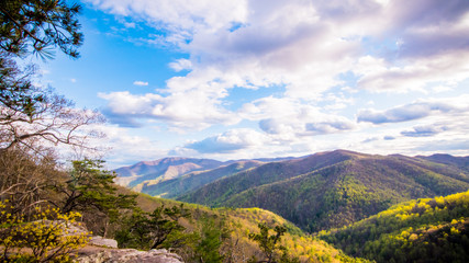 Blue Ridge Mountains Scenic View