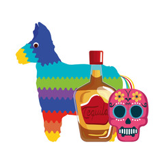 Mexican tequila bottle pinata and skull design, Mexico culture tourism landmark latin and party theme Vector illustration
