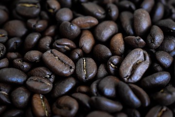 coffee beans background