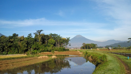 landscape with lake and trees in central java in the morning