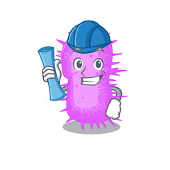 Cartoon character of acinetobacter baumannii brainy Architect with blue prints and blue helmet