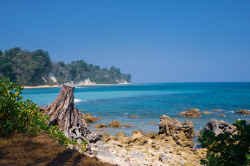 Fototapeta na wymiar Rocky beach in the Sitapur beach, Neil islands, Andamans, India, with clear sky and turquoise blue water with a tree trunk in the foreground