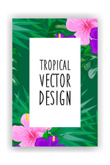 Tropical flowers, leaves, paint splashes. Exotic botany for decorating banners, cards, labels, covers, flyers, cosmetics. Isolated vector illustration on a green background.