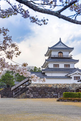 Fototapeta premium 宮城 白石城と桜