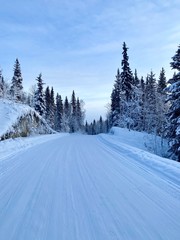 Fototapeta na wymiar road in the snow