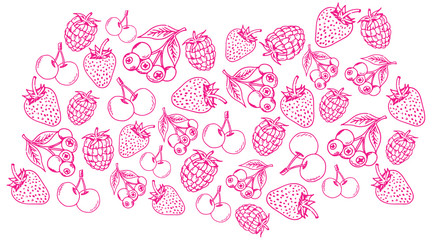 Vector hand-drawn fruits icons set berry fruits © Troy