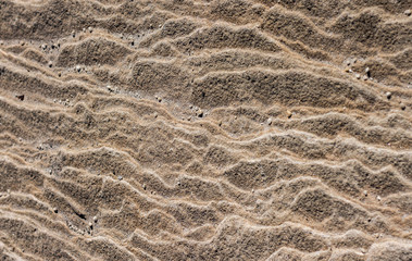 Natural sandstone rock rippled textured rock surface ideal as background