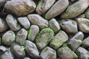 苔むされた石積みの壁