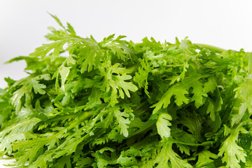 Crown daisy, Glebionis coronaria, green leaf vegetable close up