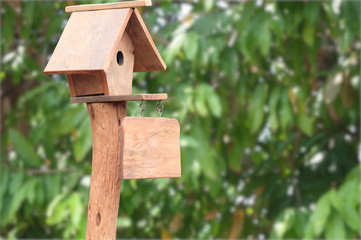 A bird house decorated in a garden makes our backyard beautiful. And there are birds creating a fresh atmosphere in the backyard.