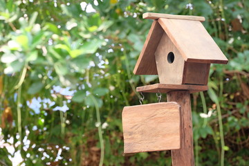 A bird house decorated in a garden makes our backyard beautiful. And there are birds creating a fresh atmosphere in the backyard.