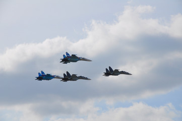 The military fighter on airshow