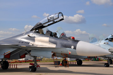 The military fighter on airshow - obrazy, fototapety, plakaty