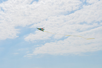 Kite flying in the sky