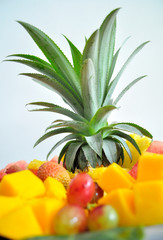 Exotic sliced fresh fruits platter arrangement