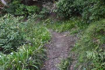Obraz premium The narrow mountain path in early spring.