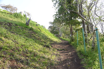 Fototapeta na wymiar The narrow mountain path in early spring.