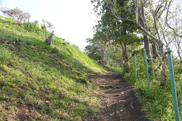 Fototapeta premium The narrow mountain path in early spring.