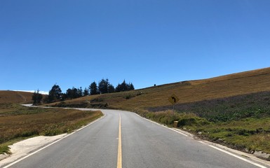 camino y montaña