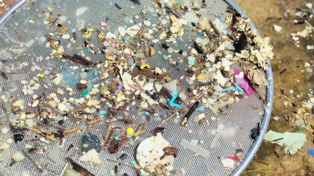 Researchers are collecting samples and randomly checking microplastic waste with filter.
