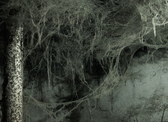 Abstract mystical grunge background with a lot of cobwebs hanging from the ceiling