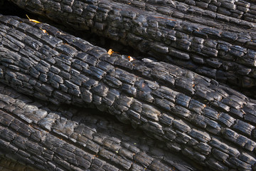 Texture of charred wooden wall