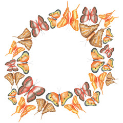 Frame of orange butterflies