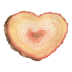 Heart of slices of tree