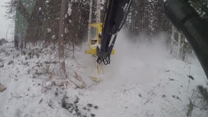 Mechanized felling clearing. John Deere 903K feller buncher at work.