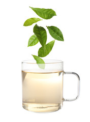 Green leaves falling into cup of tea on white background