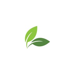 Green garden green leaf ecology logo