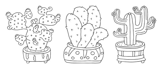 Set of big beautiful blooming prickly cacti in clay flower pots. Coloring page. Vector hand drawn cacti illustrations set. Black and white isolated on white background. Doodle cactus plant nature.