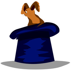 Circus rabbit in a top hat
