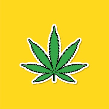 Cannabis leaf on yellow background. Green marijuana leaf icon isolated on yellow background