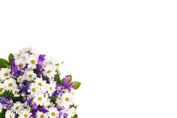Bouquet of flowers from white chrysanthemums, chamomiles and violet irises, russus on a white isolated background. Color, contrast. A holiday, a gift for a woman, mom, postcard, free space