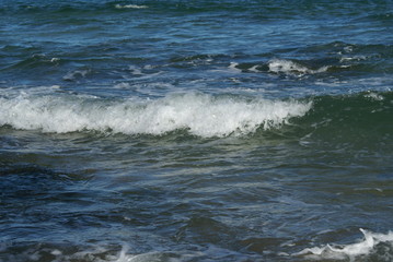 SONY DSC