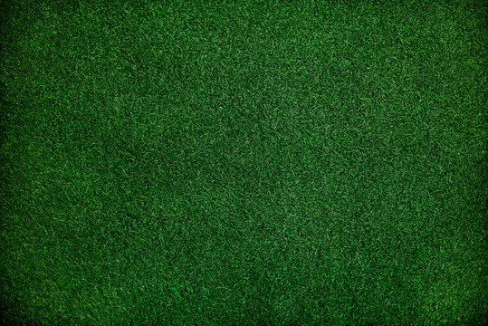 Green fake grass background © Rawpixel.com