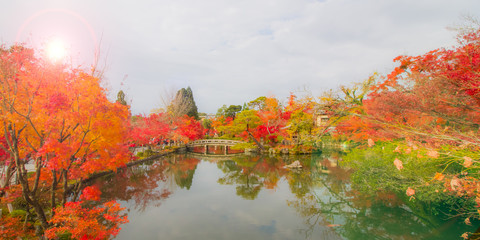 Autumn colorful