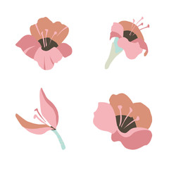 Vector set of four different isolated hibiscuses suitable for fabric, paper or web background design
