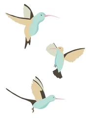 Fototapete Kolibri Vektorset aus drei verschiedenen isolierten Kolibris, geeignet für Stoff-, Papier- oder Webhintergrunddesign