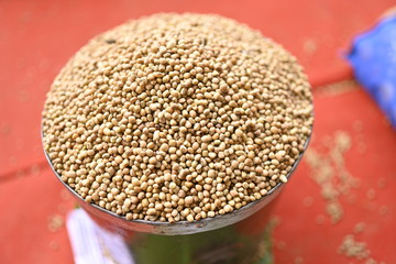 Vegetable, Fruits, Sweets, Spices