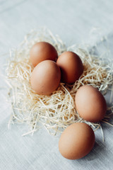 easter chicken brown eggs