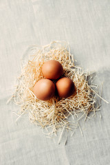 easter chicken brown eggs