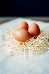 easter chicken brown eggs