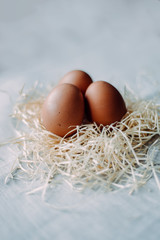 easter chicken brown eggs