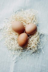 easter chicken brown eggs