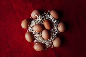 easter chicken brown eggs