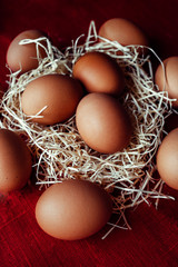 easter chicken brown eggs